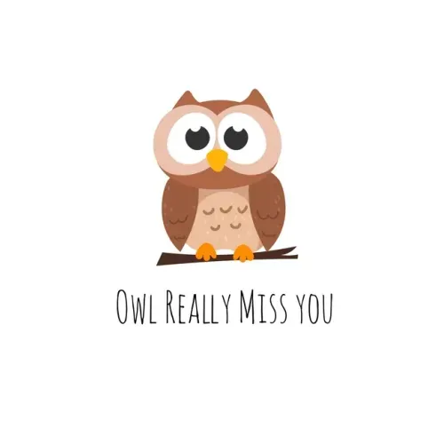 Owl Really Miss you: Perfect goodbye gift for coworker that is leaving / going away gift for your co worker, boss, manager, employee. - Paperback | Books | Wiccan Center