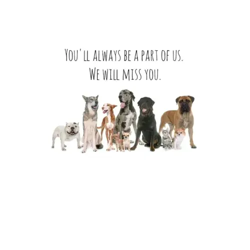 You'll always be a part of us. We will miss you.: Perfect goodbye gift for coworker that is leaving / going away gift for your co worker, boss, manage - Paperback | Books | Wiccan Center
