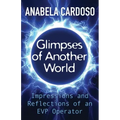 Glimpses of Another World: Impressions and Reflections of an EVP Operator - Paperback | Books | Wiccan Center