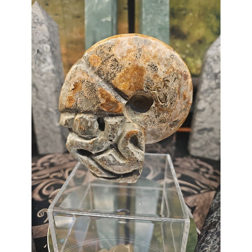 1.12LB Natural Madagascar Ammonite Fossil - Ancient Geometry Specimen | CrystalCloud Company | Fossils & Rare Specimens | Wiccan Center