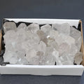 Clear Quartz Crystal Points Boxed Flat Bulk Wholesale Crystal Gemstones Supply | Home & Living > Home Decor > Home Accents > Rocks & Geodes | Wiccan Center