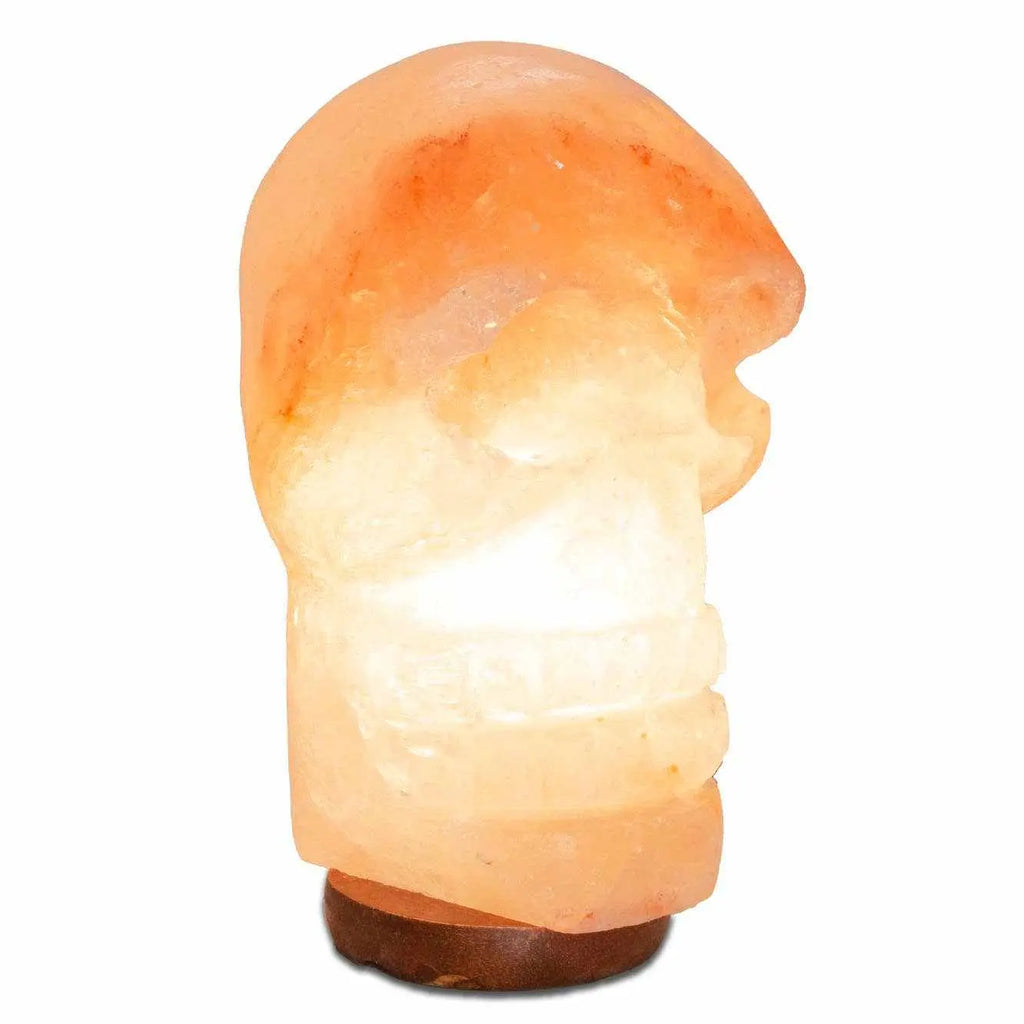 Skull Shaped Salt Lamp - 9.5" avg. - Cord, Bulb, Dimmer | | Wiccan Center