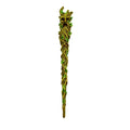 Fantasy Gifts: Greenman Magic Wand | Toys and Collectible | Wiccan Center