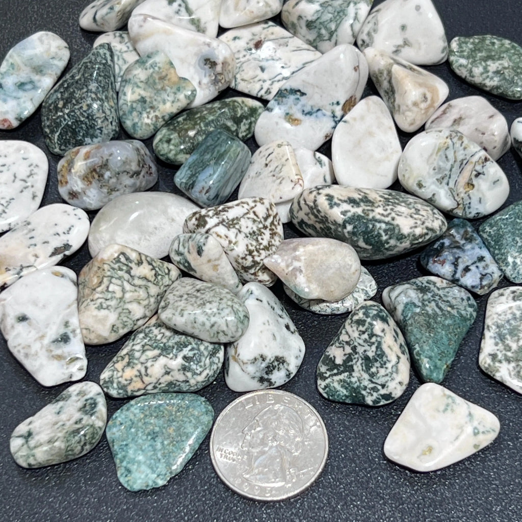 Tree Agate Tumbled Stones (By The Piece Or Pound) Bulk Wholesale Lot Polished Gemstones | Home & Living > Home Decor > Home Accents > Rocks & Geodes | Wiccan Center