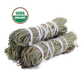 Pine Smudge Stick (4 in.) | | Wiccan Center