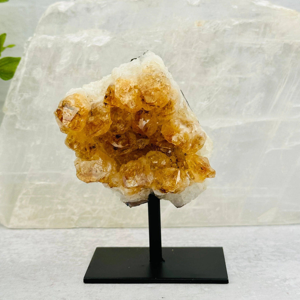Citrine Cluster on Metal Stand