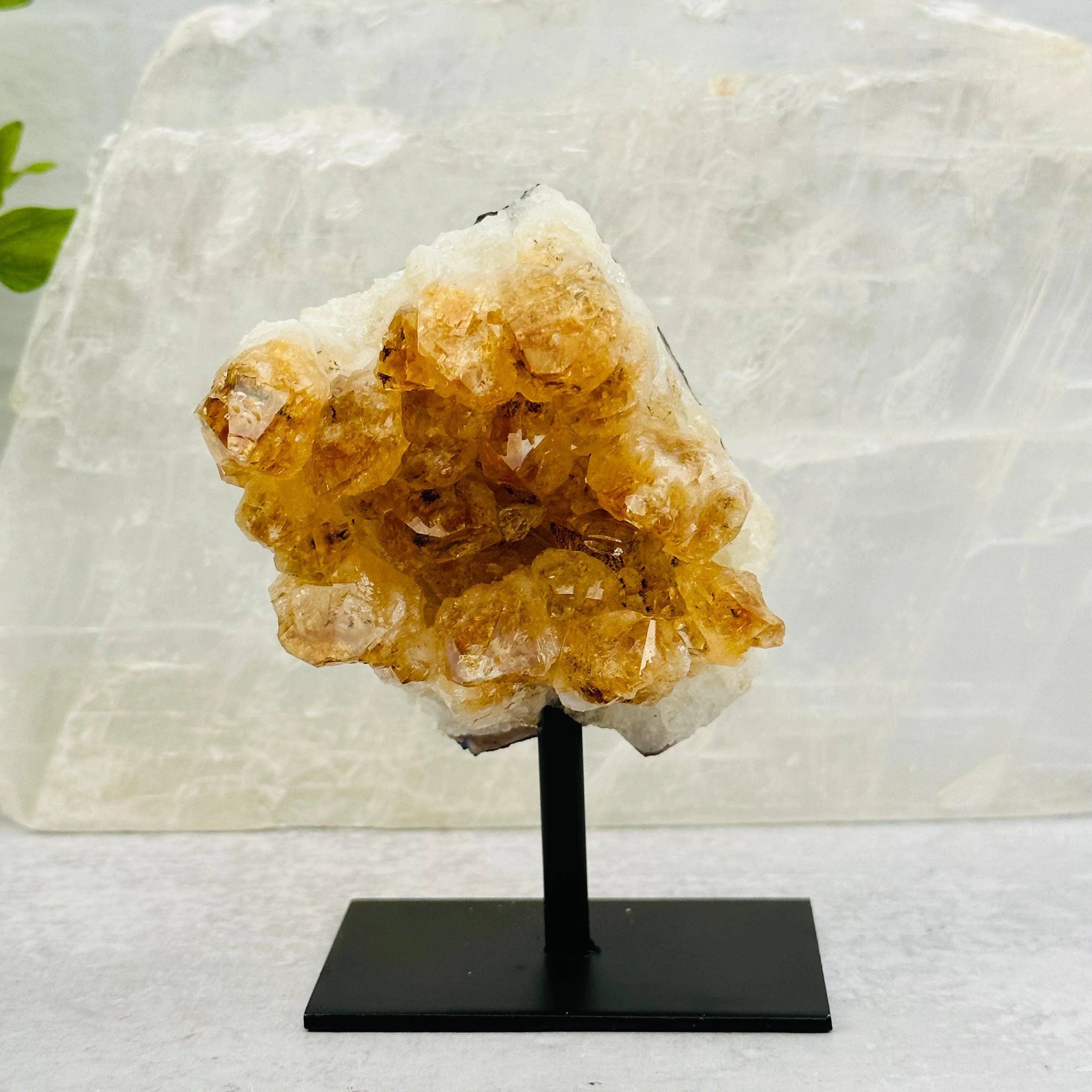 Citrine Cluster on Metal Stand