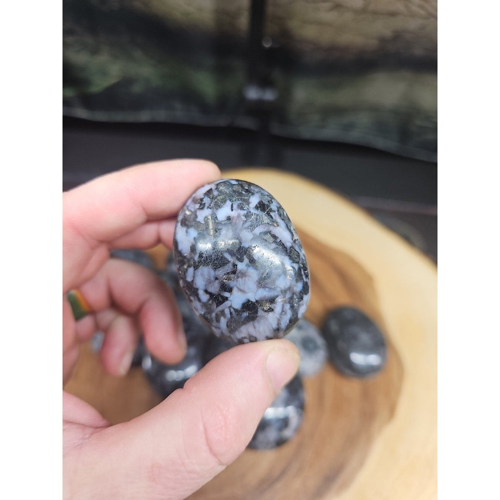 5Pcs Natural Polychrome Merlinite Gabbro Crystal Palm Stone | Palm Stones & Tumbled Crystals | Wiccan Center