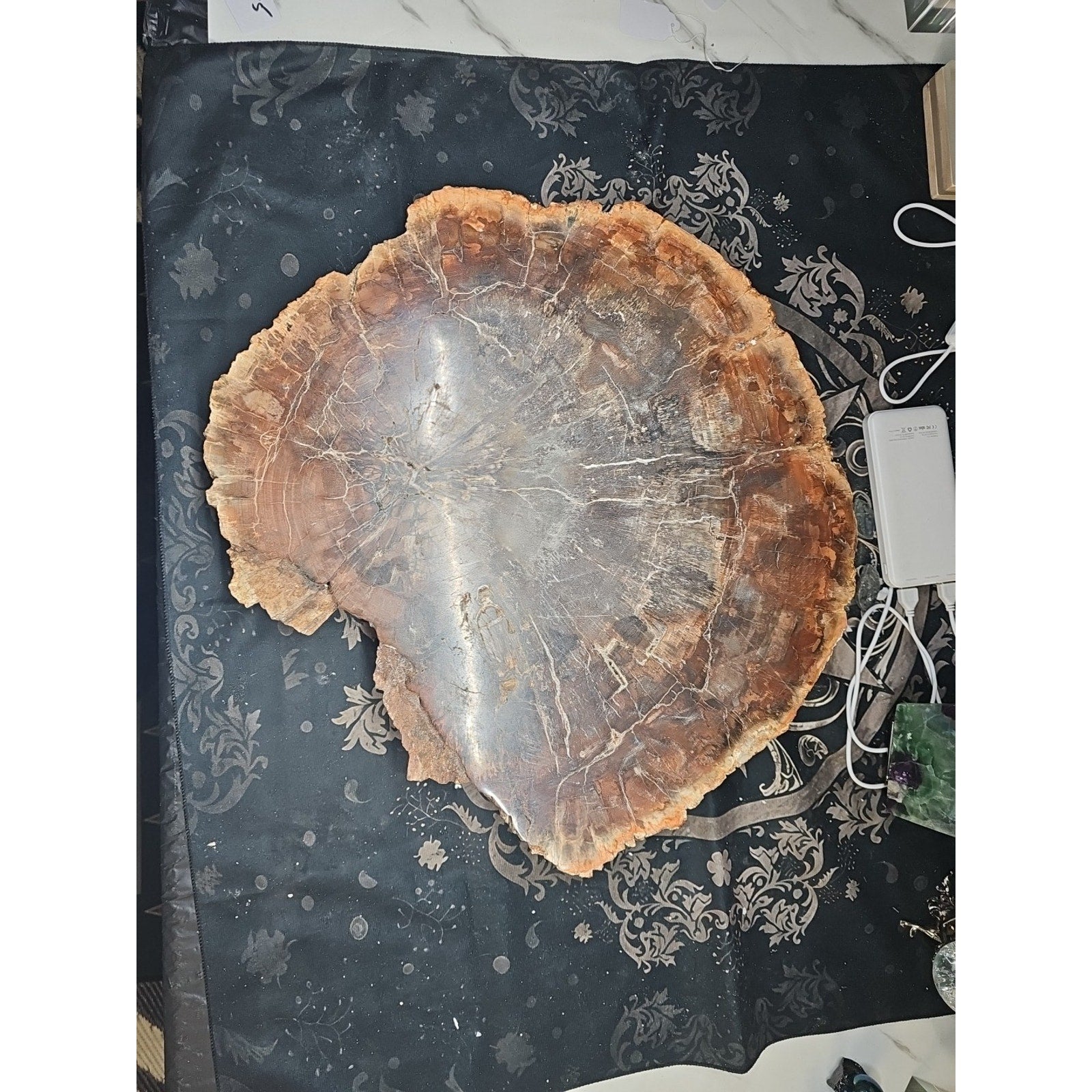 27.3 lb Fossil Wood Quartz Hedgehog Sculpture — Artisan Mineral Statement Piece | CrystalCloud Company
