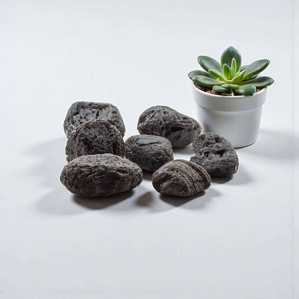 Tektite Rough Large Palm Stone Size Specimen | Tumbled Stones | Wiccan Center