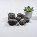 Tektite Rough Large Palm Stone Size Specimen | Tumbled Stones | Wiccan Center