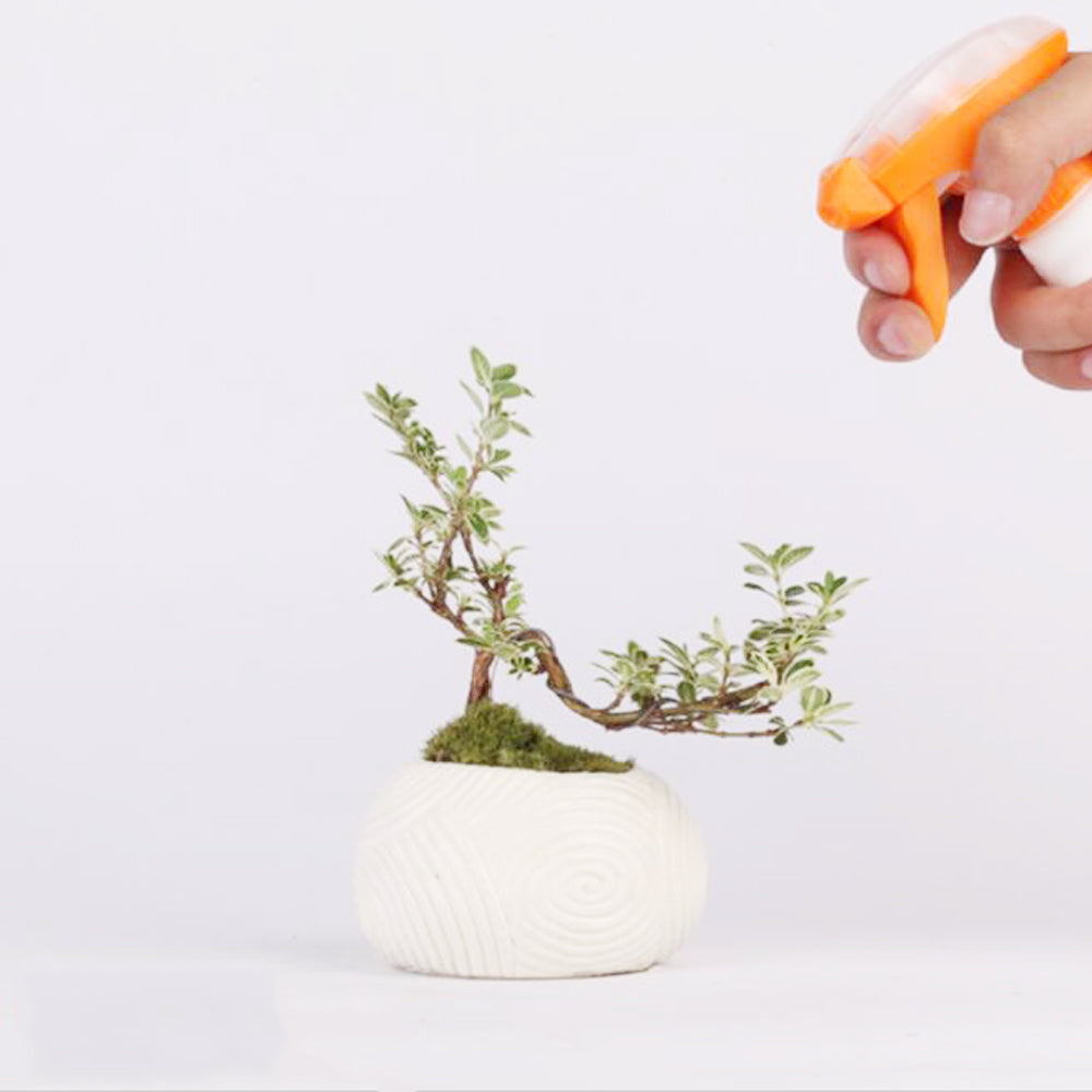 Magnetic Levitation Potted Plants | 0 | Wiccan Center