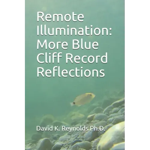 Remote Illumination: More Blue Cliff Record Reflections - Paperback