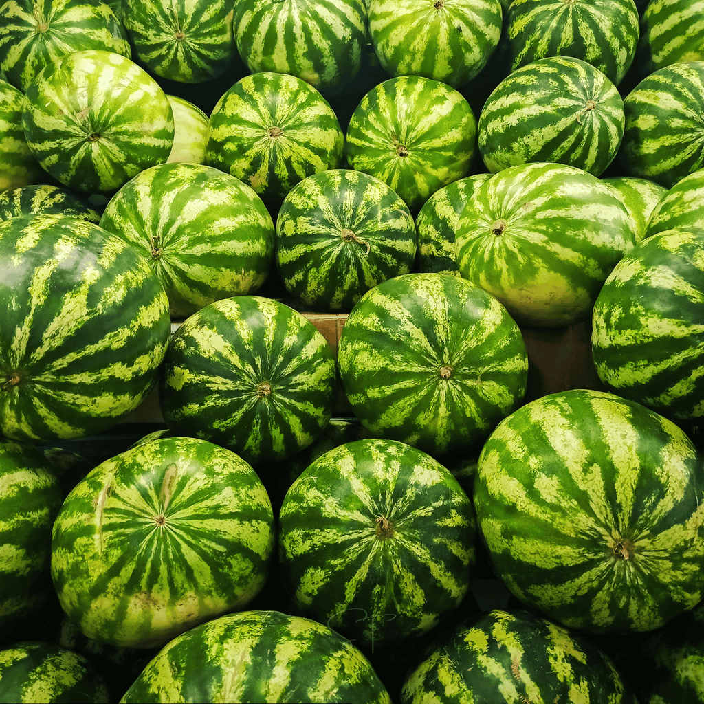 All Sweet Watermelon – 25 Seeds | Seeds | Wiccan Center