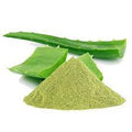 Aloe Vera - Powder (1 oz) | Herbs | Wiccan Center
