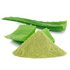 Aloe Vera - Powder (1 oz) | Herbs | Wiccan Center