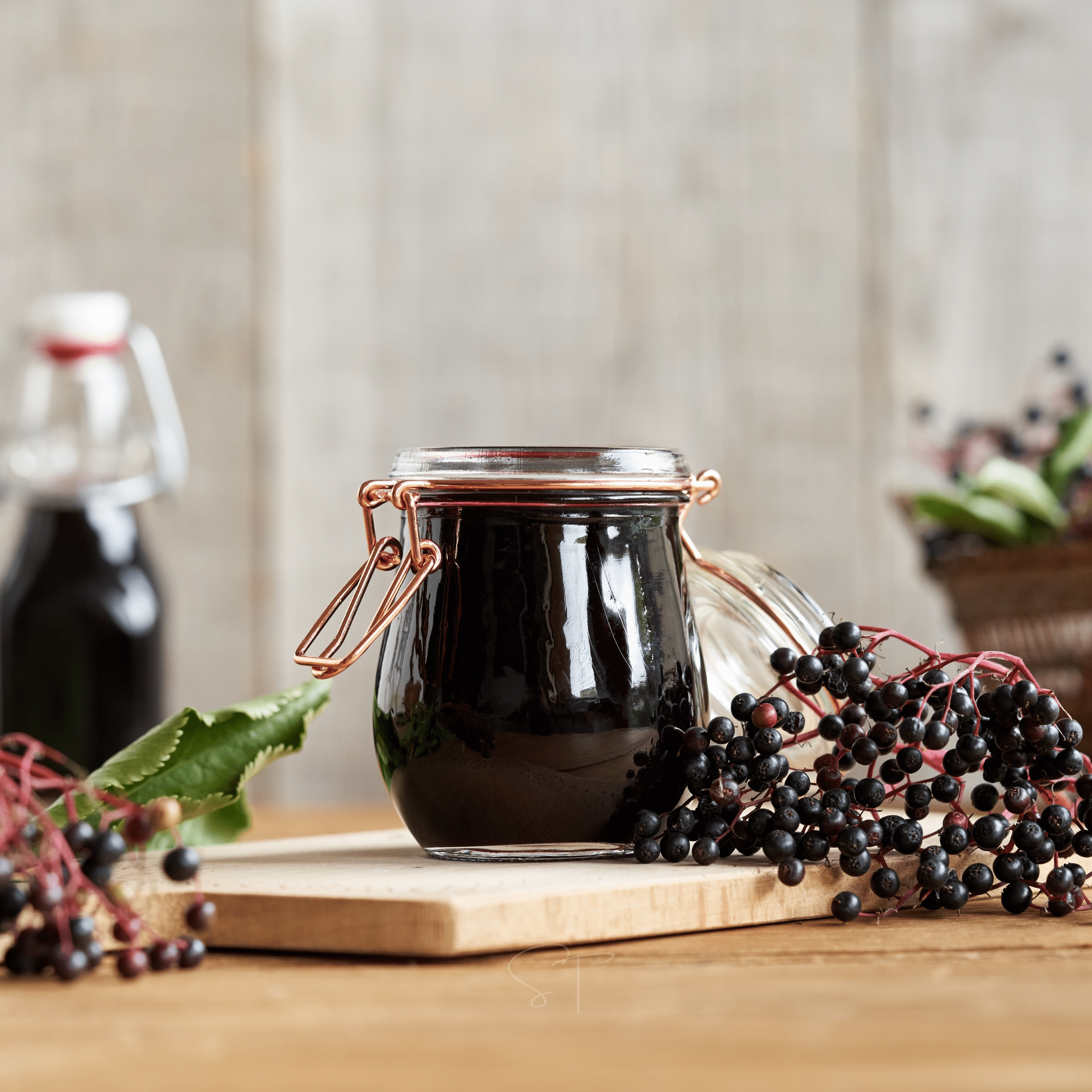American Black Elderberry – 50 Seeds | | Wiccan Center
