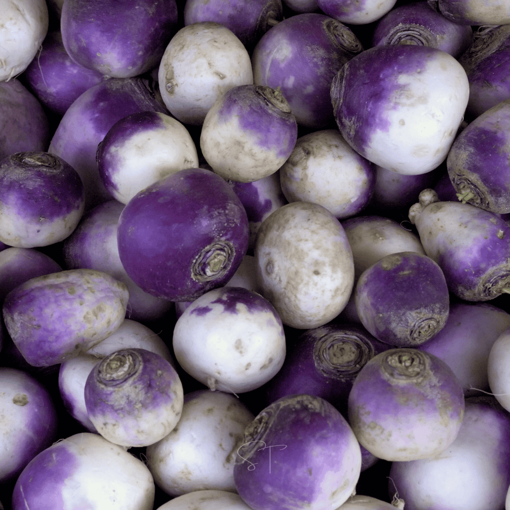American Purple Top Rutabaga – 200 Seeds | Seeds | Wiccan Center