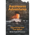 Awareness Adventures: Discovering Your True Nature - Paperback
