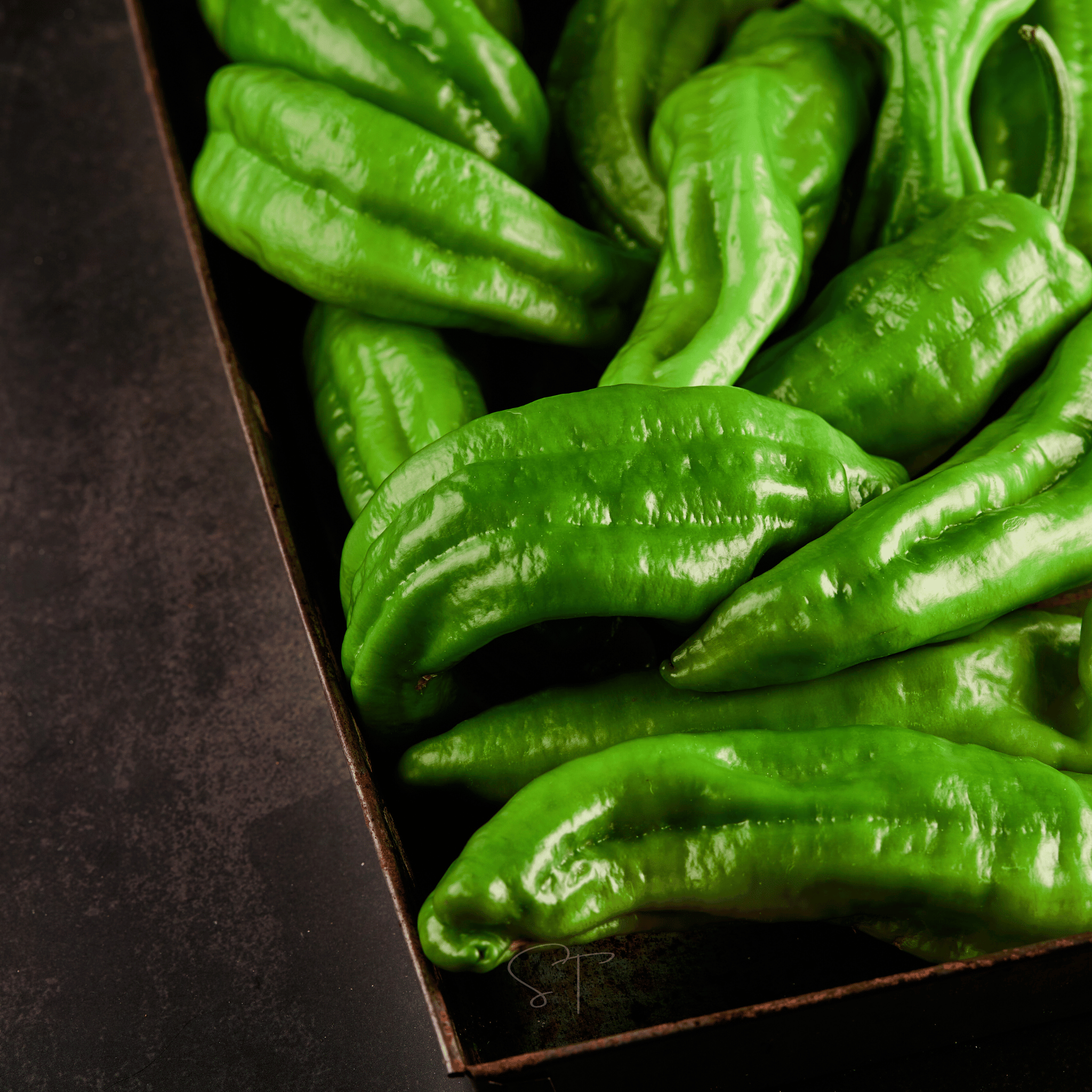 Anaheim Chili Pepper – 25 Seeds | Seeds | Wiccan Center