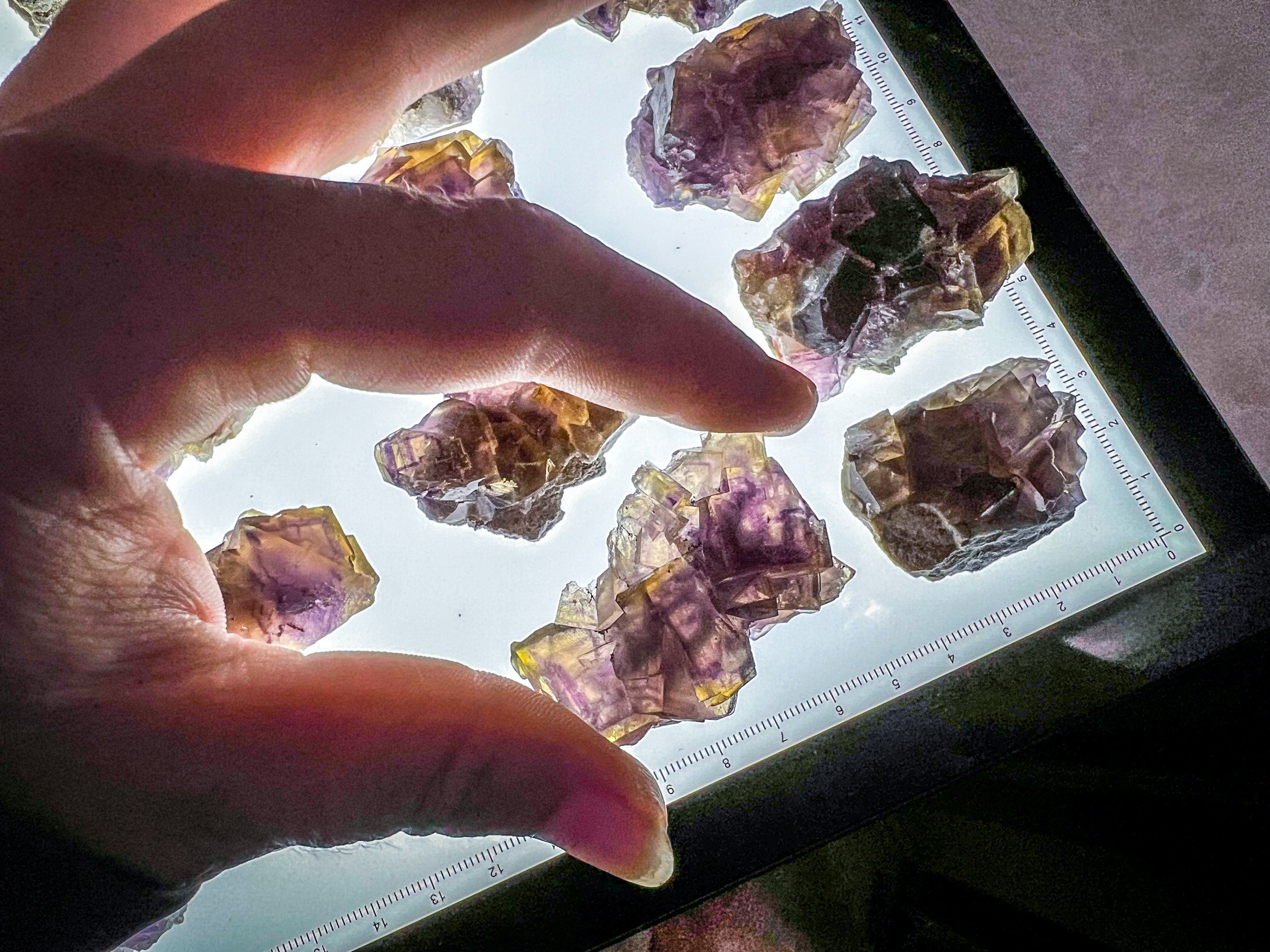 ANHUI Yellow Fluorite with Thousand Layer Purple Phantoms, RARE Minerals | | Wiccan Center