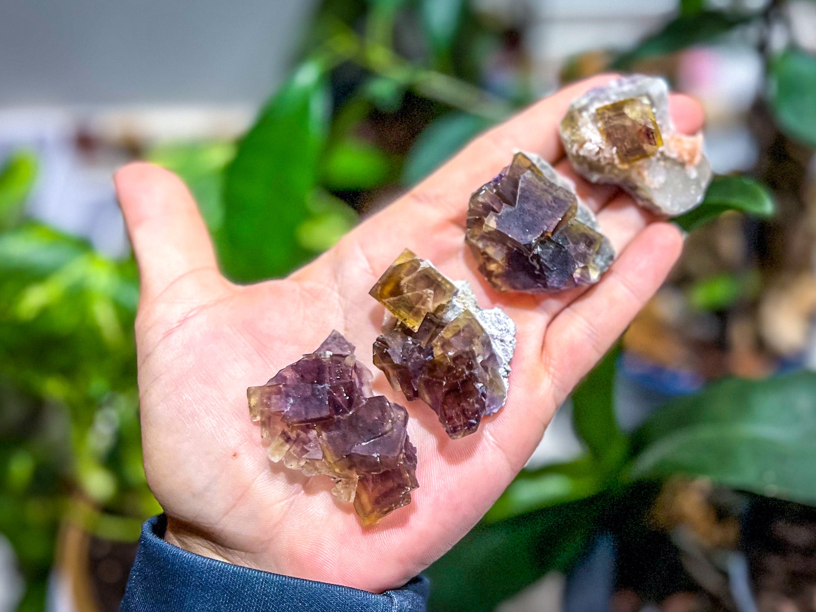 ANHUI Yellow Fluorite with Thousand Layer Purple Phantoms, RARE Minerals | | Wiccan Center
