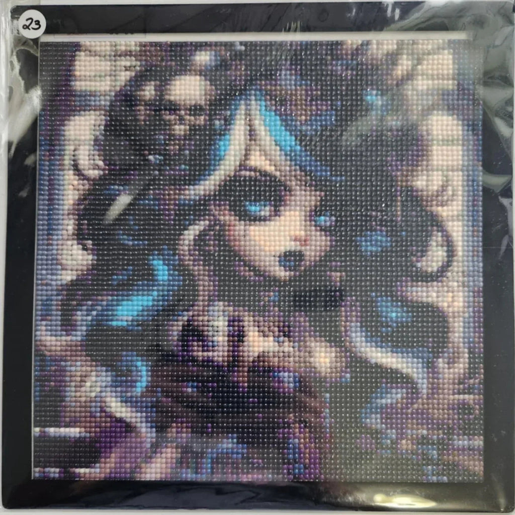 Diamond Art 30 x 30 cm Pictures w/Magnetic Frame