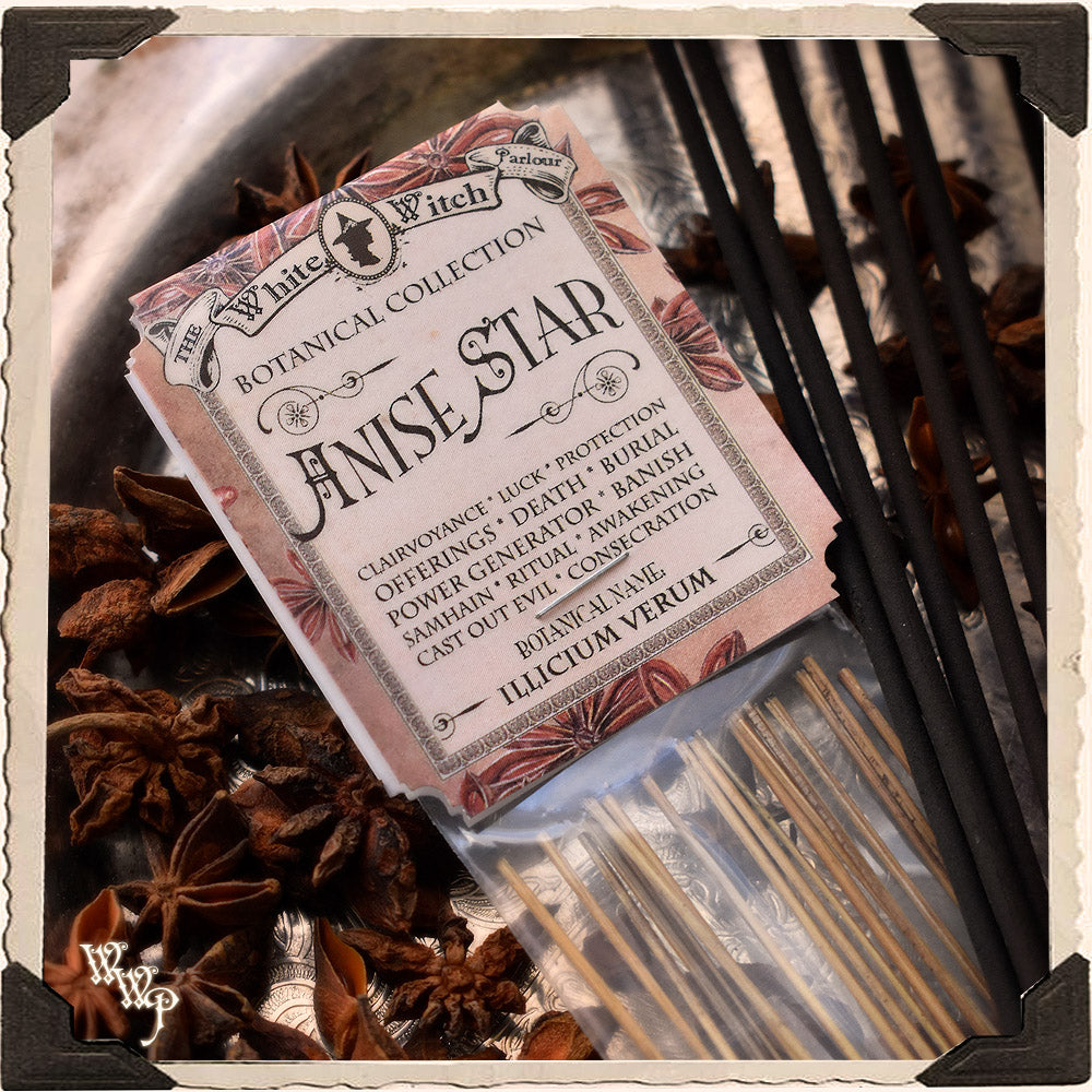 ANISE STAR INCENSE. 20 Stick Pack. Single-Note Botanical. For Clarity, Awakening & Clairvoyance | INCENSE | Wiccan Center