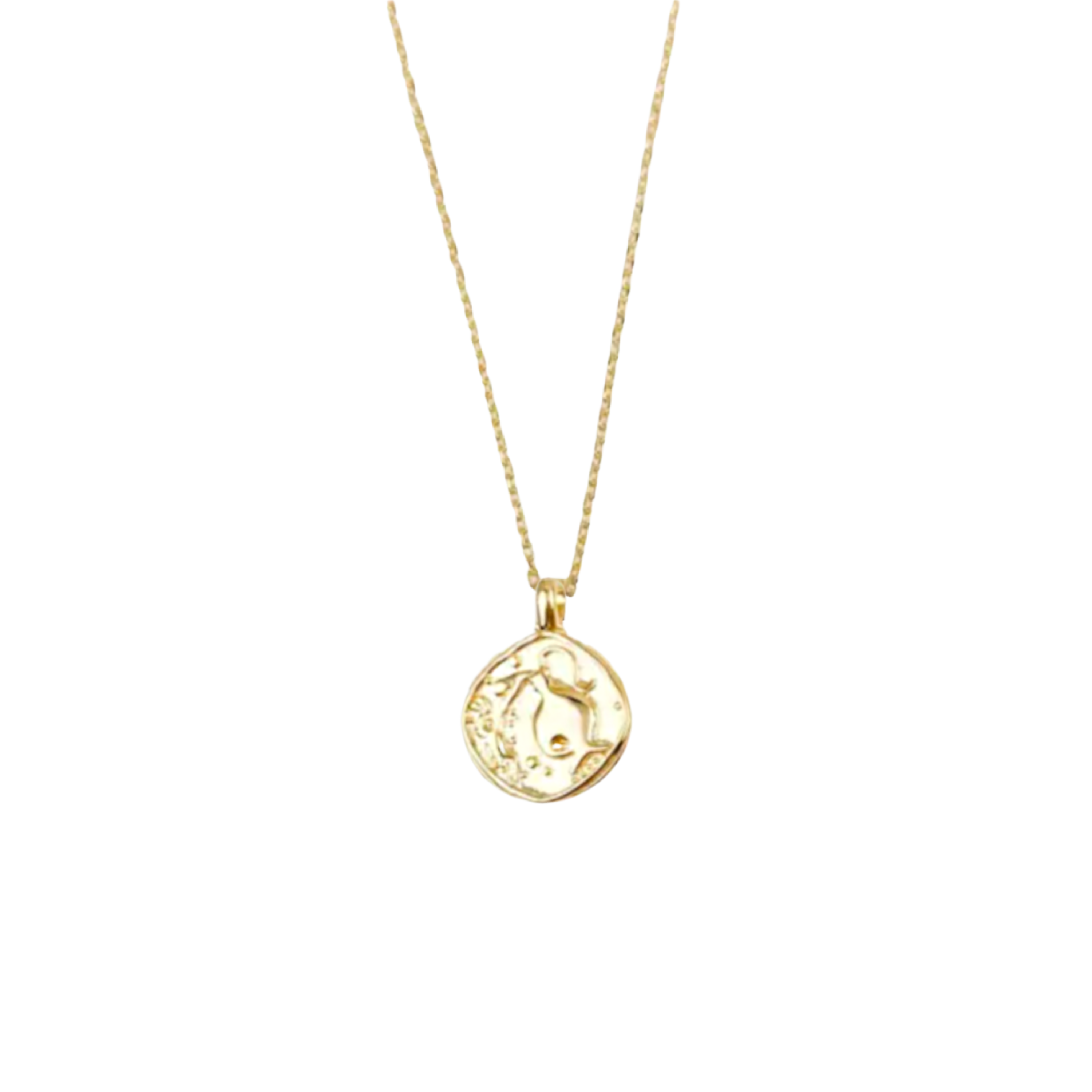 Zodiac Coin Necklace