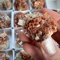 Aragonite Sputnik Mineral Crystal — Star Cluster for Grounding & Stress Relief