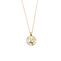 Zodiac Coin Necklace