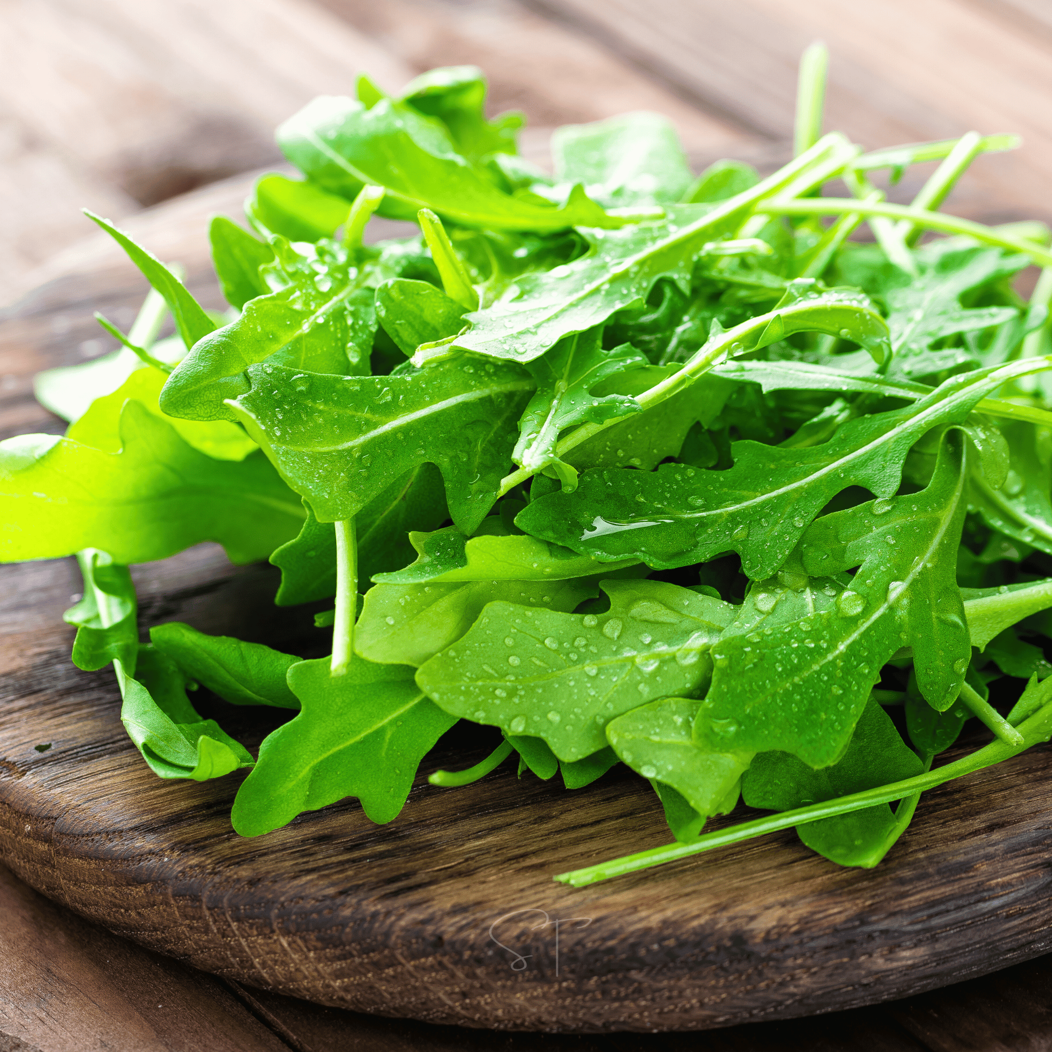 Arugula – 200 Seeds | Seeds | Wiccan Center