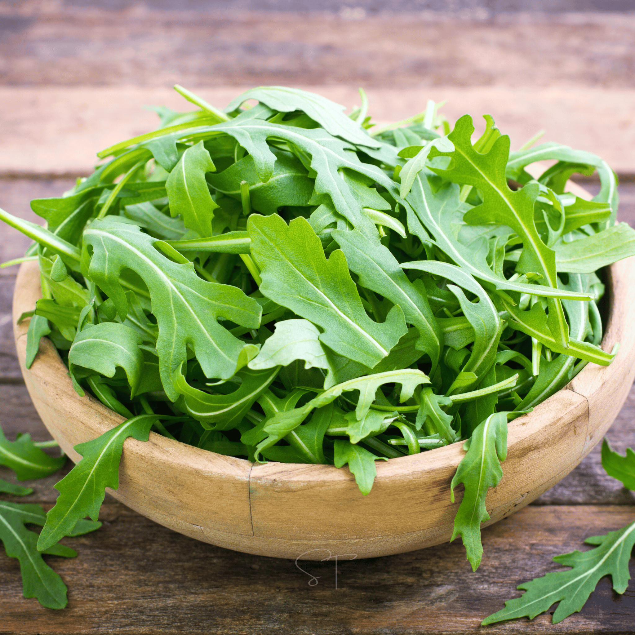 Arugula – 200 Seeds | Seeds | Wiccan Center