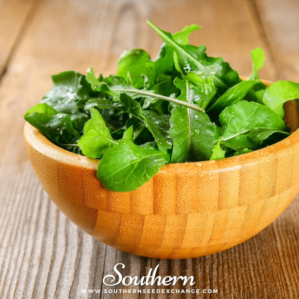 Roquette Arugula – 200 Seeds | | Wiccan Center