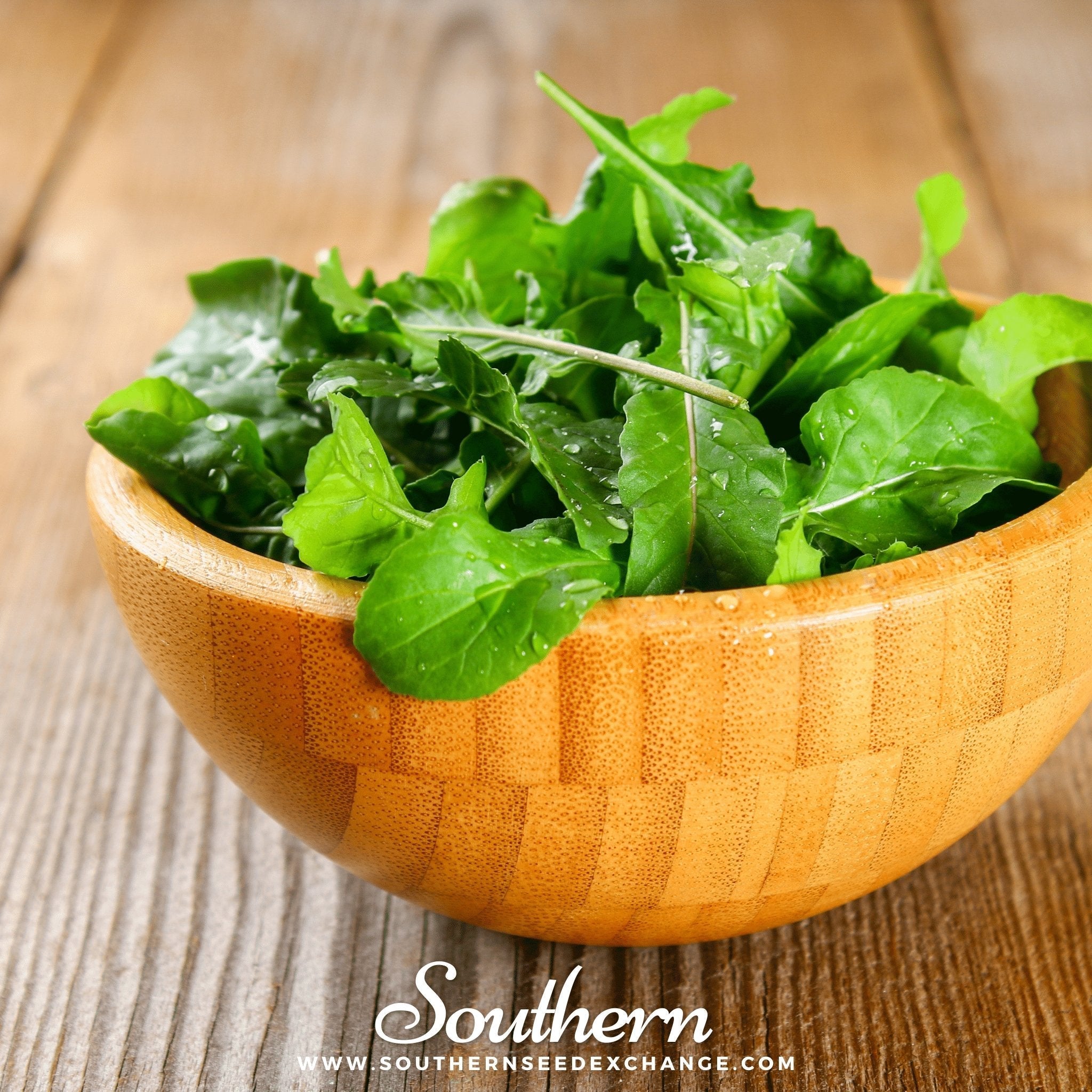 Roquette Arugula – 200 Seeds | | Wiccan Center