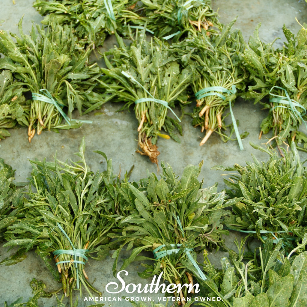 Wild Arugula – 500 Seeds | Seeds | Wiccan Center