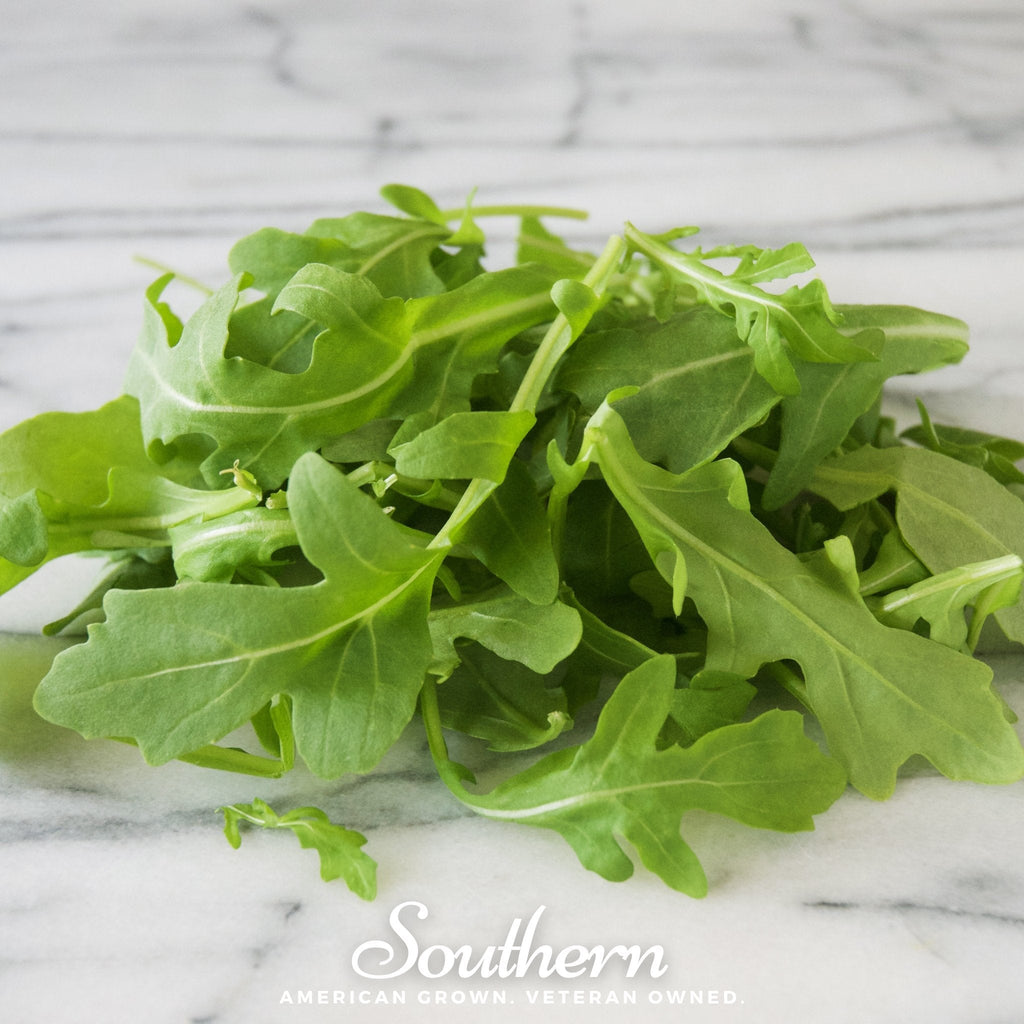 Wild Arugula – 500 Seeds | Seeds | Wiccan Center