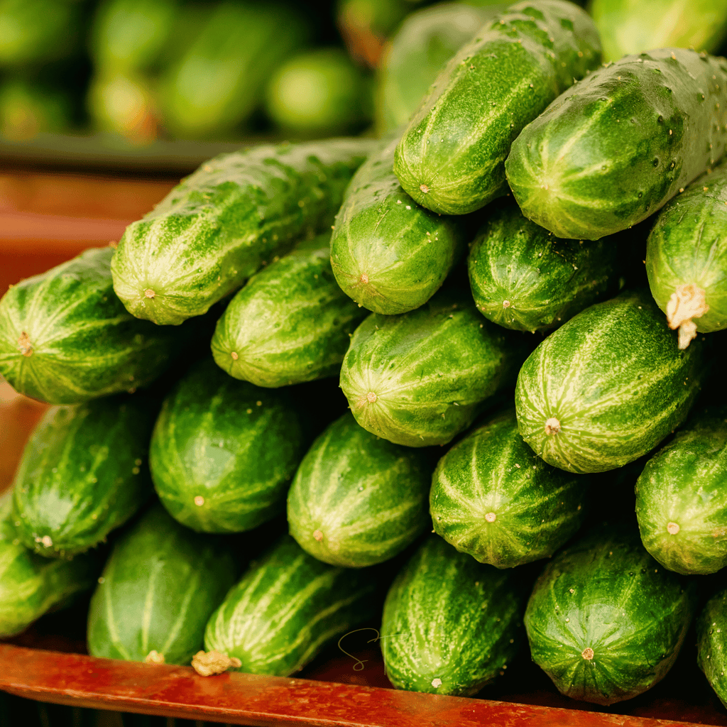 Ashley Cucumber – 30 Seeds | | Wiccan Center