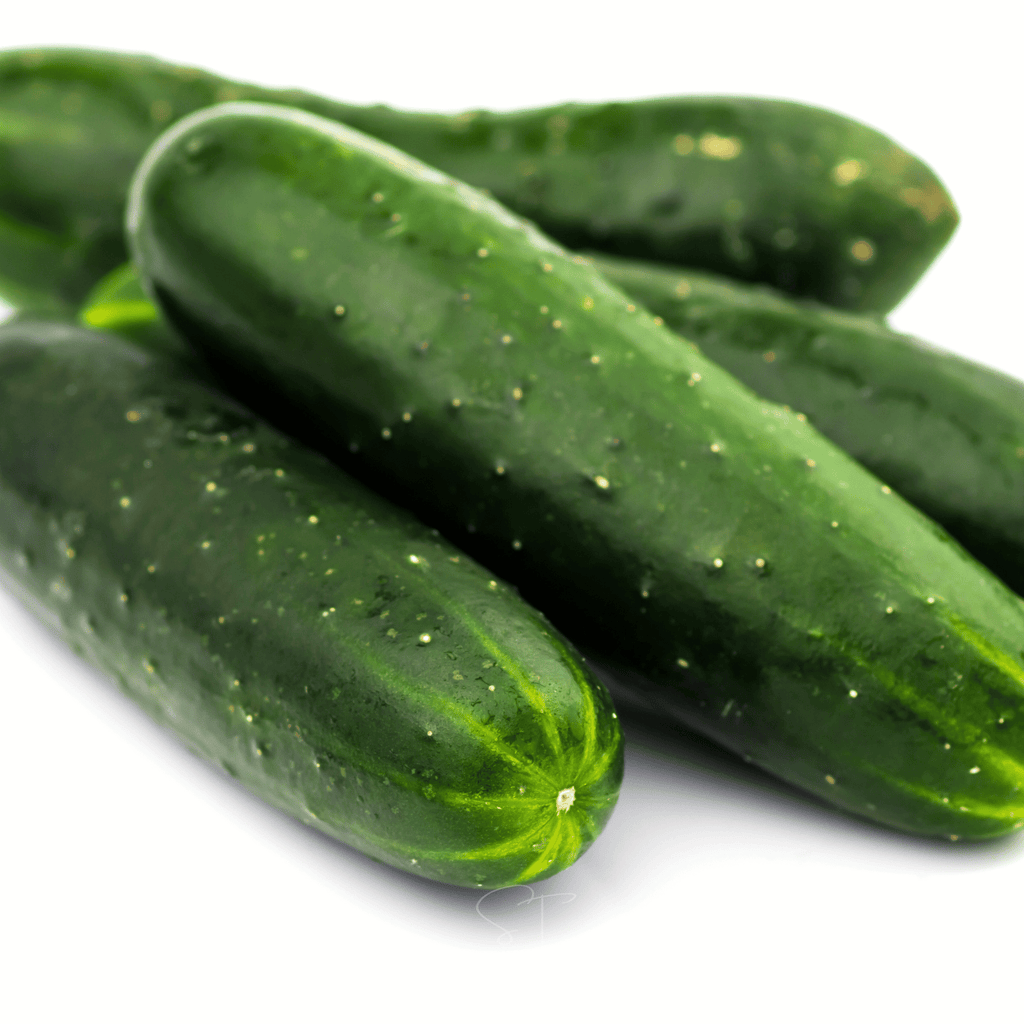 Ashley Cucumber – 30 Seeds | | Wiccan Center