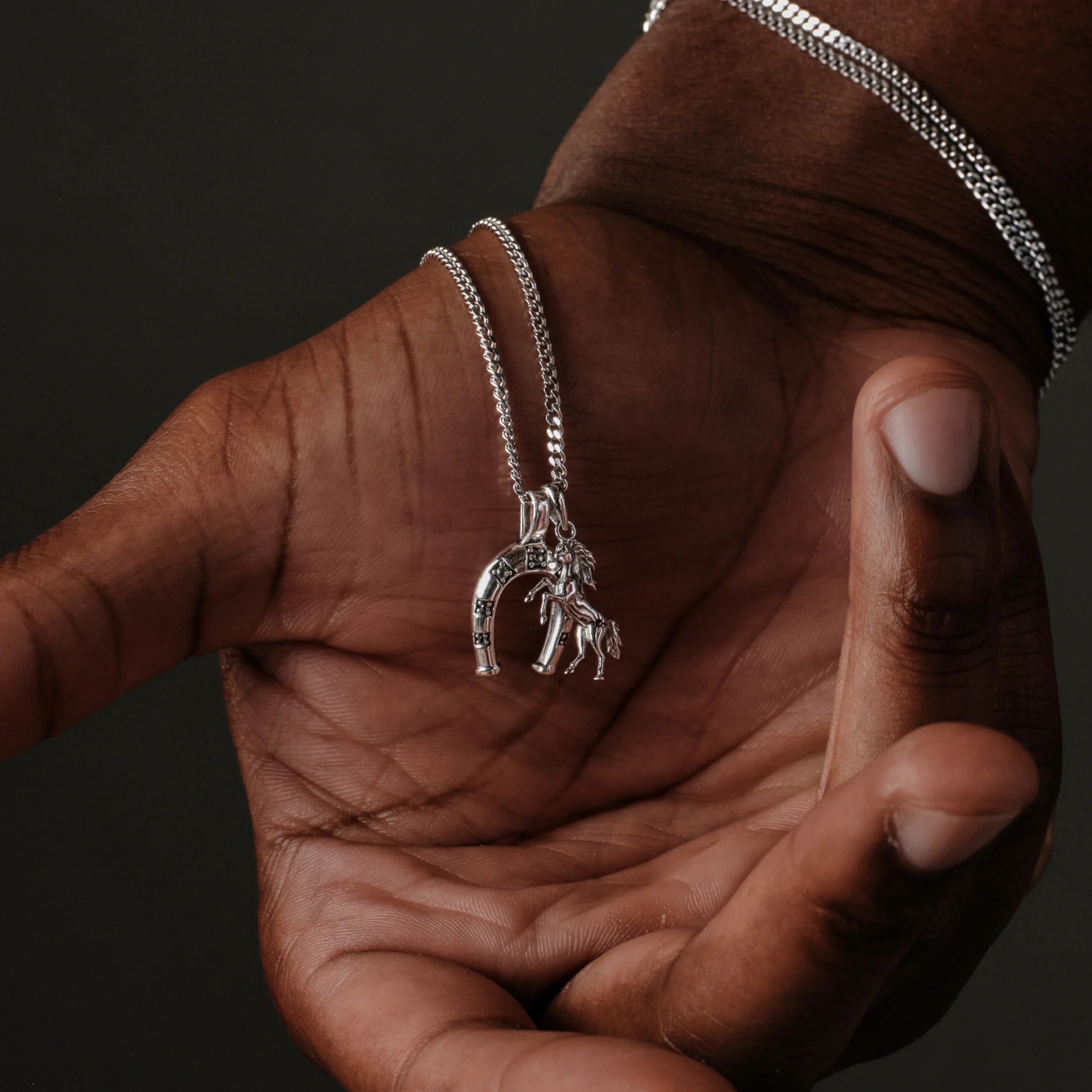 Dark Horse Necklace Set