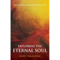 Exploring the Eternal Soul - Insights from the Life Between Lives - Paperback | Books | Wiccan Center
