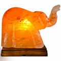 Elephant Shaped Salt Lamp - 9" avg. - Cord, Bulb, Dimmer | Lamp | Wiccan Center