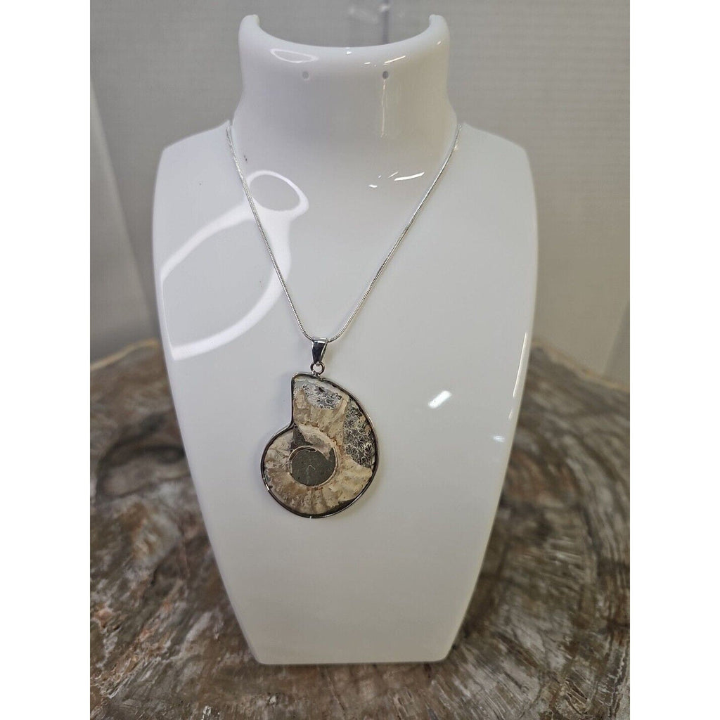 Ammonite Fossil Pendant Necklace — Handmade with 18-inch Silver Chain | CrystalCloud Company