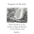 Exegesis of the Soul: Three Treatises on the Nature, Origin, & Destiny of the Human Soul - Paperback | Books | Wiccan Center