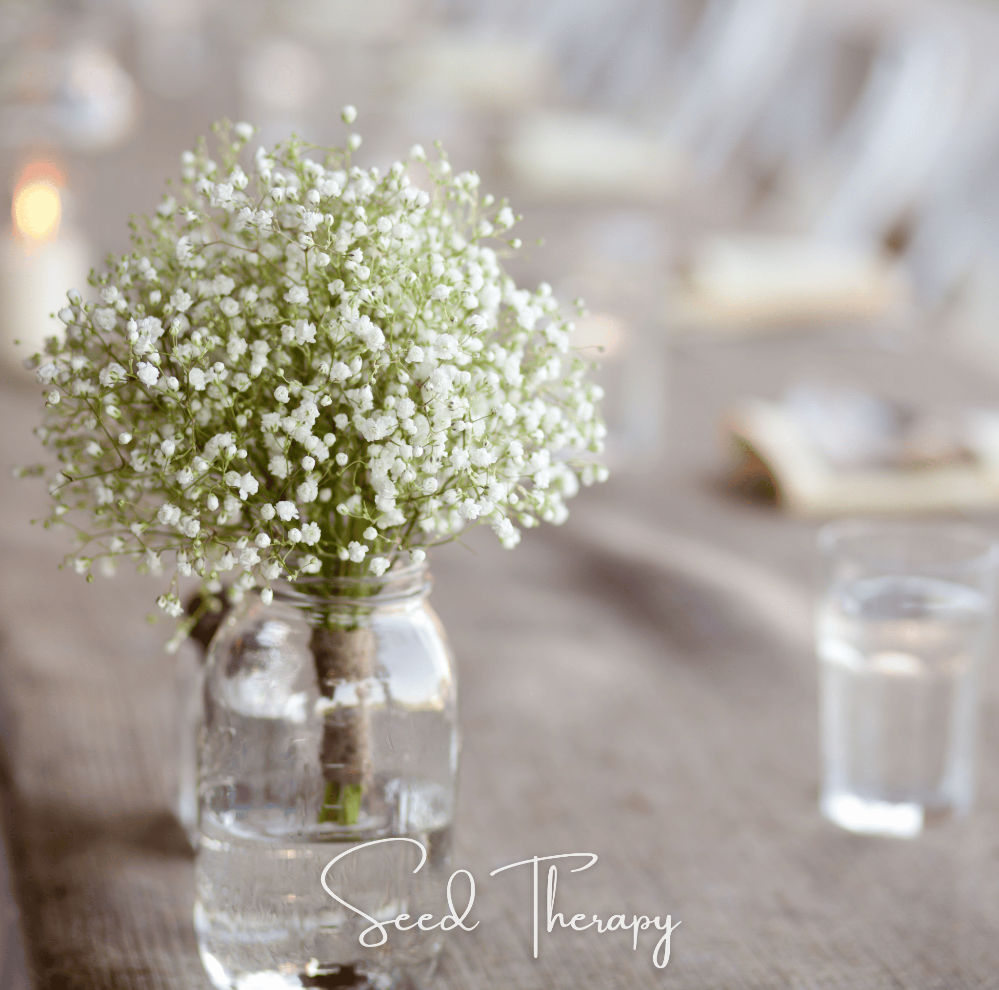 Perennial Baby’s Breath – 100 Seeds | Seeds | Wiccan Center