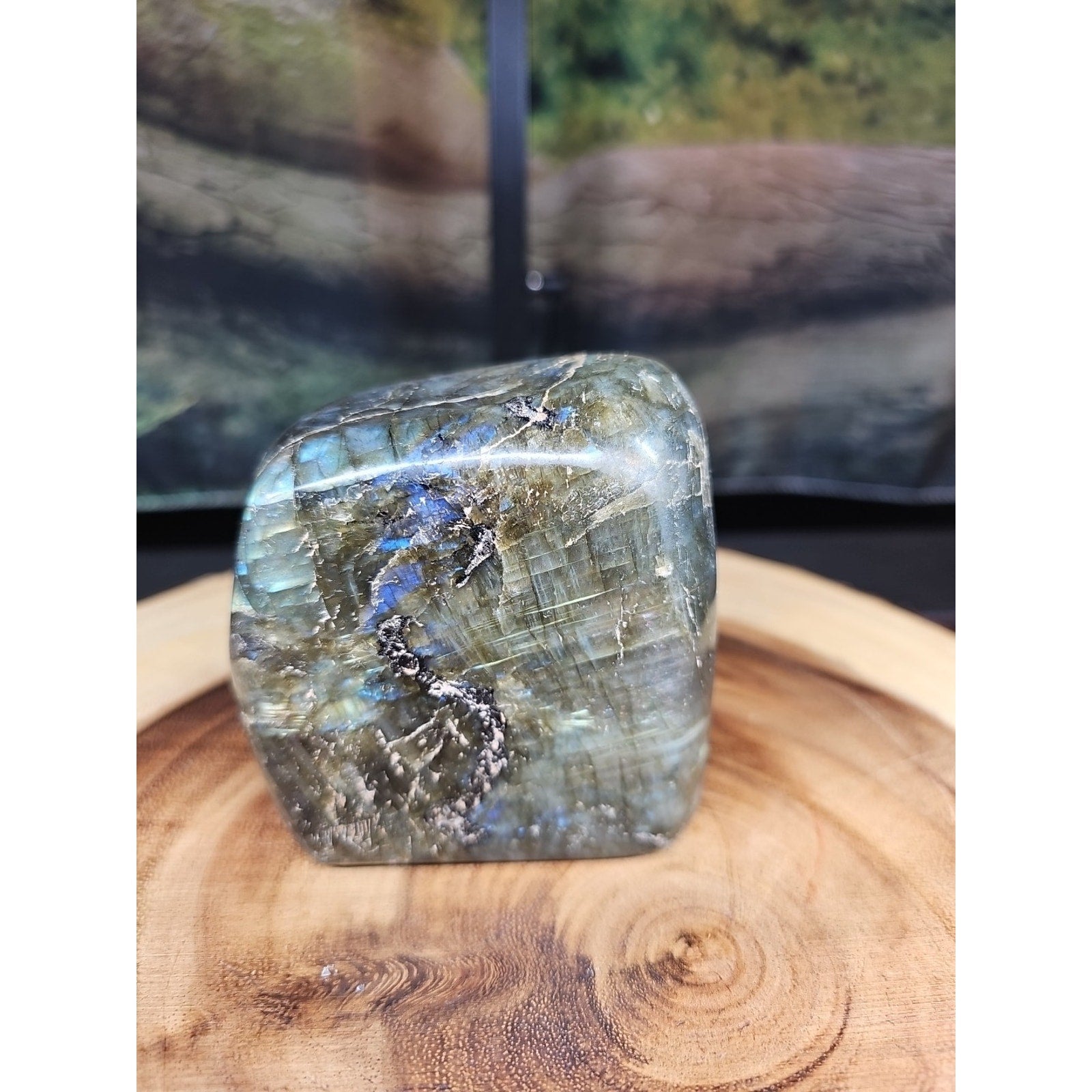 1.60lbs Natural Rainbow Labradorite Crystal Gem Spectrolite Stone | Mineral Specimens | Wiccan Center