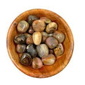 Bamboo Leaf Jasper Tumbled | Tumbled Gemstone | Wiccan Center