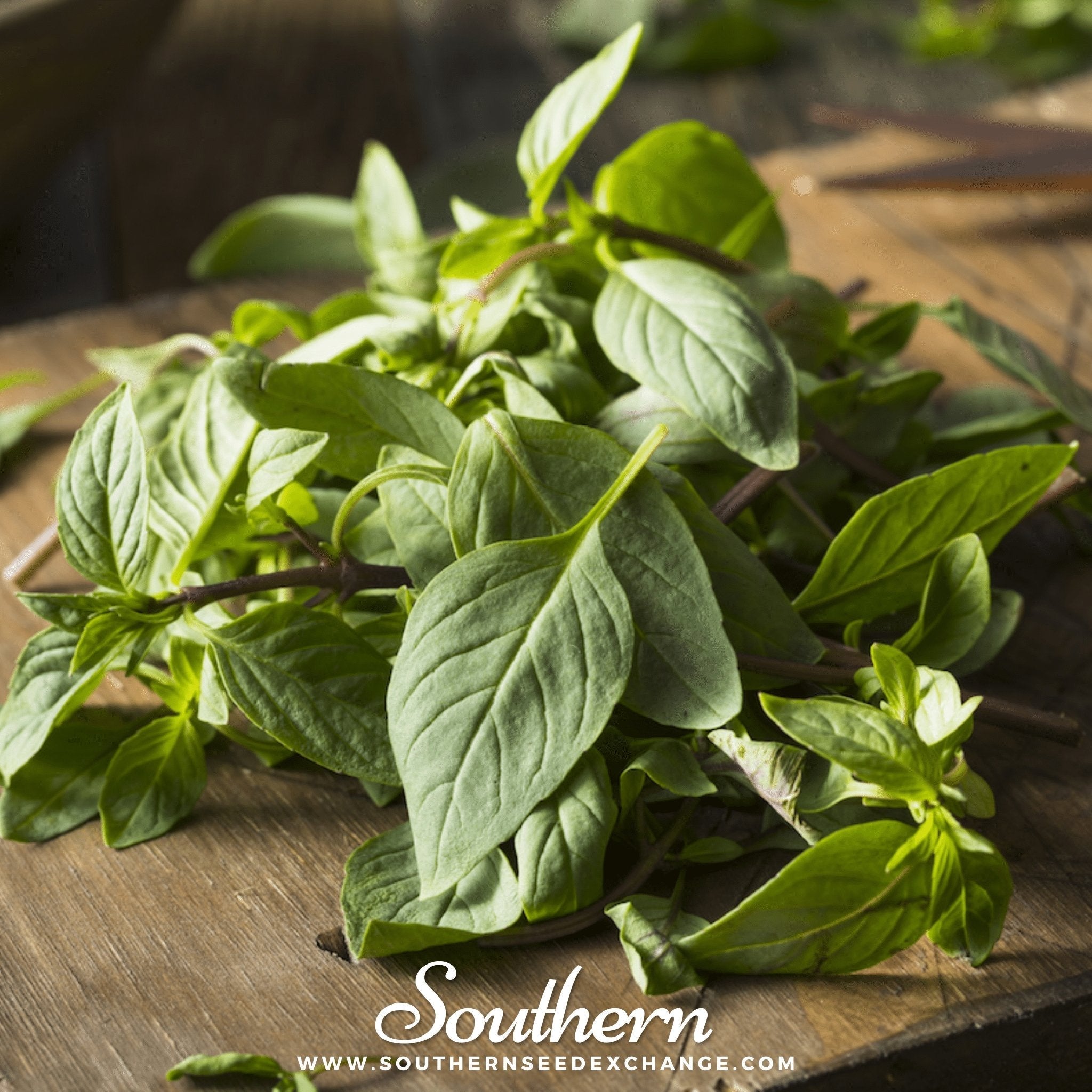 Thai Siam Queen Basil – 250 Seeds | | Wiccan Center