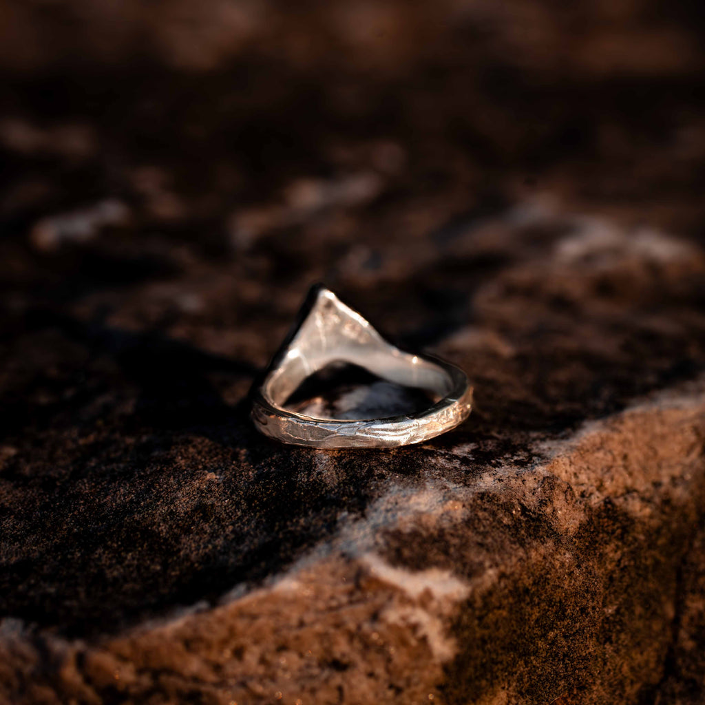 Battle Ring-Continuum Silver or Gold