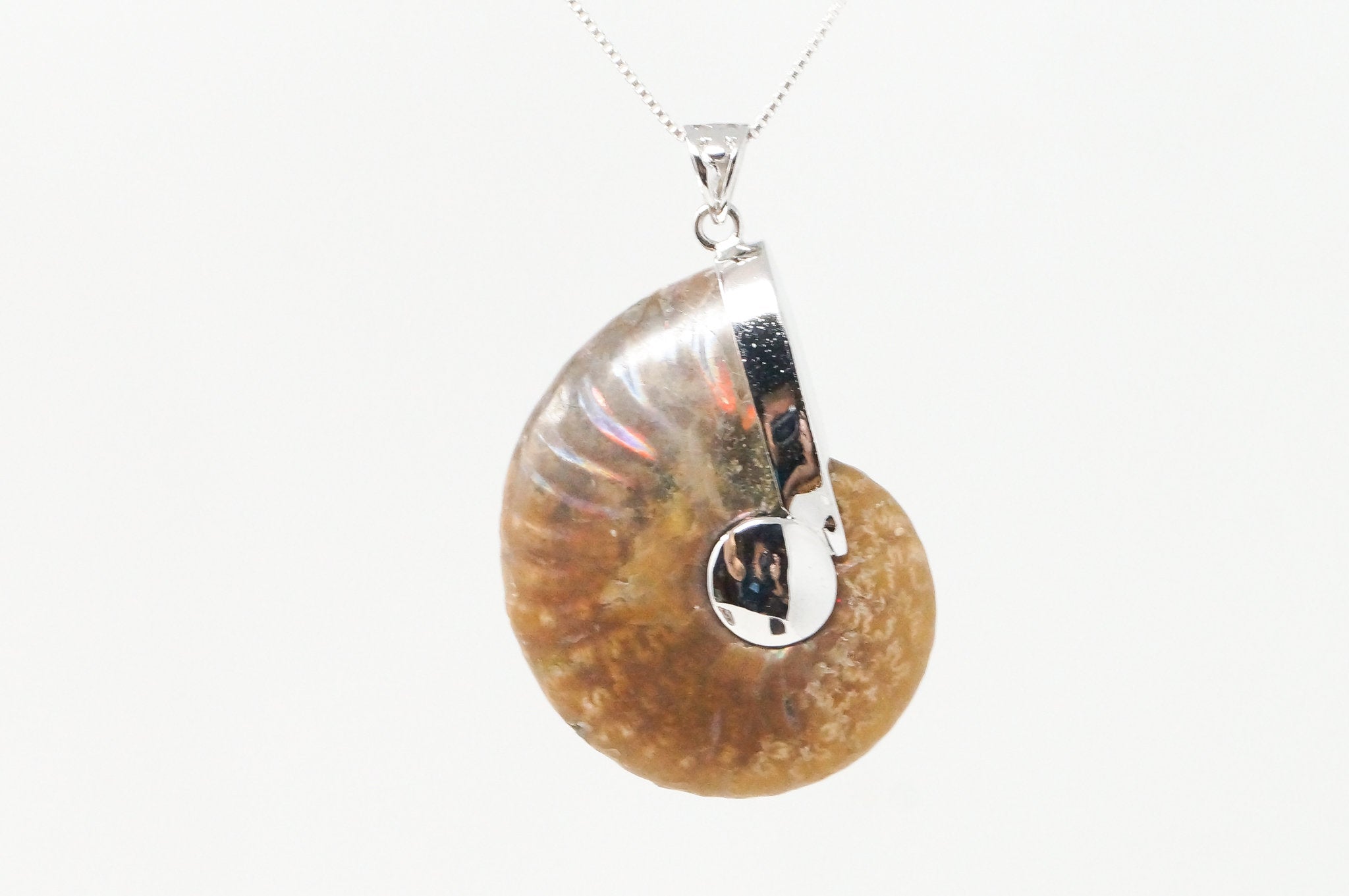 Vintage Nautilus Fossil Shell Sterling Silver Chunky Necklace Pendant | Jewelry > Necklaces > Pendants | Wiccan Center